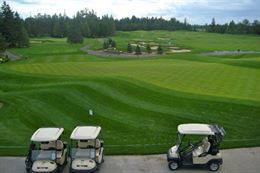 Picture of Canadian Golf & Country Club – Golf for Two - 18 holes