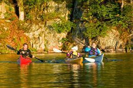 Picture of 1000 Islands Kayaking – Half Day Guided Tour