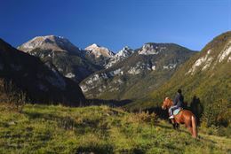 Picture of Rocky Mountain Helicopter and Horseback Riding Tour