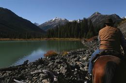 Picture of Guided Horseback Ride at Birkenhead Lake - FULL DAY