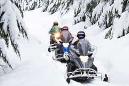 Picture of Fresh Tracks Snowmobile Tour - BEGINNER - DRIVER