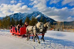 Picture of Banff Sleigh Ride - Public