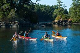 Picture of Brentwood Bay Guided Kayak Tour - 2 Hours