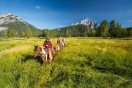 Picture of Banff Horseback Ride - 3 hour Bow Valley Loop Ride