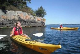 Picture of 1000 Islands Kayaking – Self-Guided Tour - FULL DAY  - SINGLE KAYAK