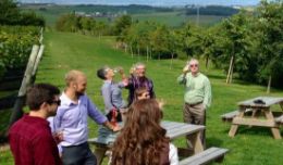 Guided tour of Annapolis Valley wineries from Wolfville and Halifax