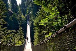 Picture of North Vancouver and Capilano Bridge Private Tour - Child 5 - 12