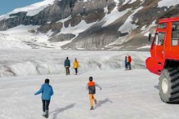 Discover the awe-inspiring majesty of the Columbia Icefield Parkway on a guided tour from Banff