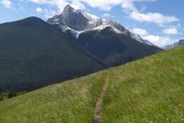 a unique Kananaskis guided hiking tour to a reclaimed mine.
