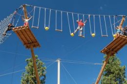 Discover the excitement of zip lines and suspended aerial course on the Vancouver Aerial Adventure Course