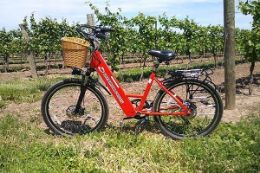 Experience a guided tour on Niagara-on-the-Lake wineries by E-bike