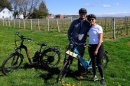 Picture of Niagara-on-the-Lake Wine and Cider Tour - E-bike