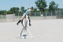 Toronto Introductory Polo  Lesson one day course