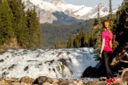 Banff and its Wildlife sightseeing tour summer