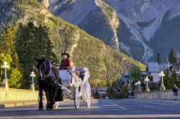 Banff in style on a private horse-drawn carriage ride tour 