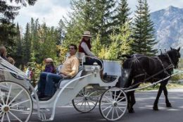 Banff private horse-drawn carriage ride tour 