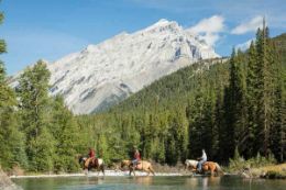 Banff trail ride horseback riding