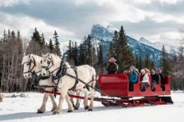 Banff Sleigh Ride, family fun things to do in Banff
