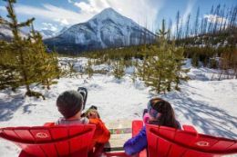 Snowshoeing Banff in winter tour, Marble Canyon
