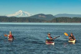 Picture of Gulf Islands Kayak Tour -  3 Hours
