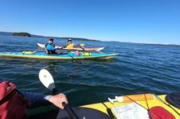 Guided Kayaking Tour  of Gulf Islands, Swartz Bay, Vancouver Island