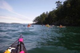 Brentwood Bay Kayak Tour and Pub Lunch