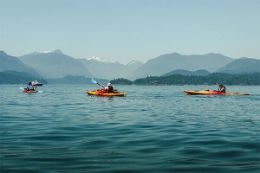 Experience the scenery and wildlife of BC's Howe Sound on kayaking tour