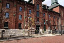 Unique Toronto Sightseeing experience - Guided walking tour of Toronto’s Distillery District
