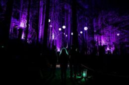 Add Vallea Lumina to your list of fun things to do in Whistler, BC