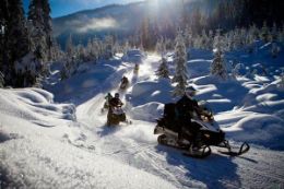  Whistler Winter activity Guided Snowmobile Tour