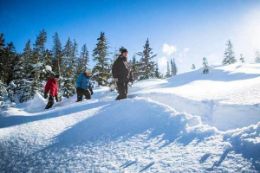 Whistler snowshoeing snowmobiling zipline spa experience