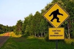 Picture of Toronto Adventure Drive - Hunt for The Sasquatch - For 3 participants