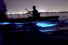 Night Glow Kayak Tour Victoria Vancouver Island