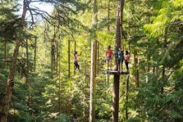  Aerial Obstacle Course Whistler BC treetop adventure