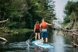 Eco-tour by SUP and Kayak of Toronto Islands