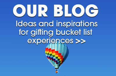 See Latest From Blog